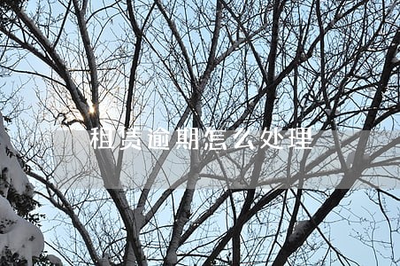 租赁逾期怎么处理 租赁逾期怎么处理