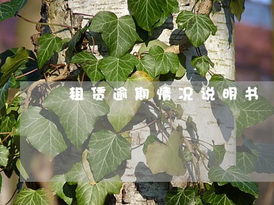 租赁逾期情况说明书 租赁逾期情况说明书