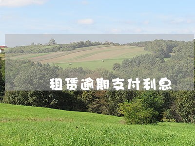 租赁逾期支付利息 租赁逾期支付利息
