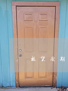 租赁逾期数据分析 租赁逾期数据分析