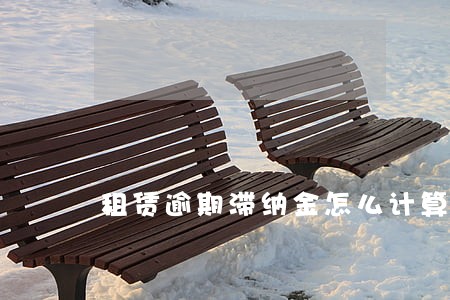 租赁逾期滞纳金怎么计算 租赁逾期滞纳金怎么计算