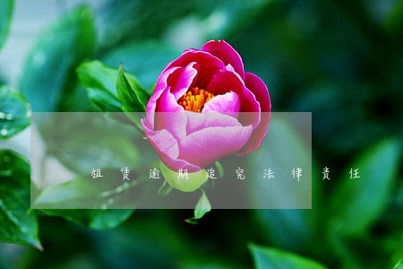租赁逾期追究法律责任 租赁逾期追究法律责任