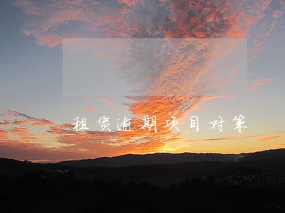 租赁逾期项目对策 租赁逾期项目对策