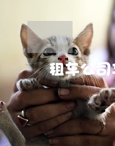 租车公司车贷逾期 租车公司车贷逾期