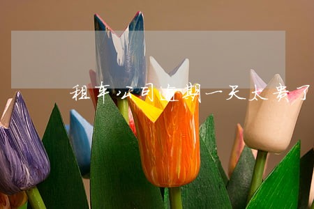 租车公司逾期一天太贵了 租车公司逾期一天太贵了