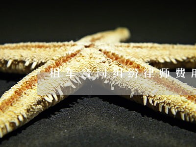 租车合同纠纷律师费用 租车合同纠纷律师费用
