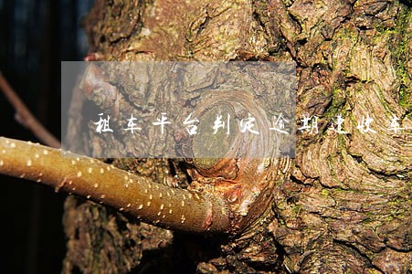 租车平台判定逾期遭收车 租车平台判定逾期遭收车