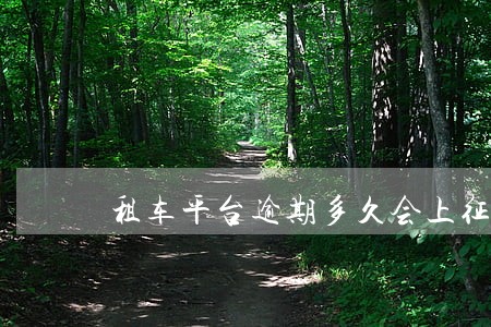 租车平台逾期多久会上征信 租车平台逾期多久会上征信