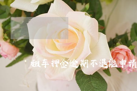 租车押金逾期不退能申请赔偿