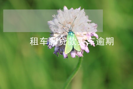 租车牌贷款买车逾期 租车牌贷款买车逾期