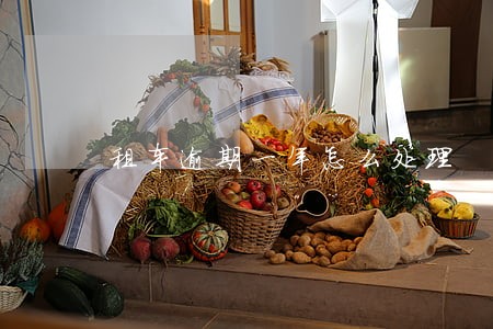 租车逾期一年怎么处理 租车逾期一年怎么处理