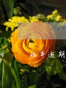 租车逾期半个月后还会怎么样 租车逾期半个月后还会怎么样