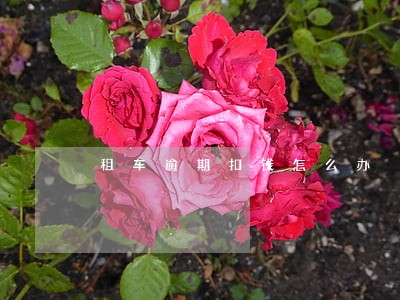 租车逾期扣钱怎么办 租车逾期扣钱怎么办