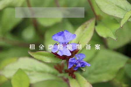 租金地税逾期备案 租金地税逾期备案