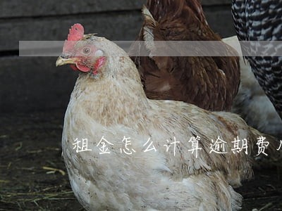 租金怎么计算逾期费用 租金怎么计算逾期费用
