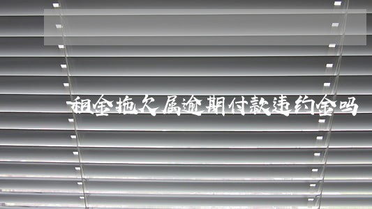 租金拖欠属逾期付款违约金吗 租金拖欠属逾期付款违约金吗