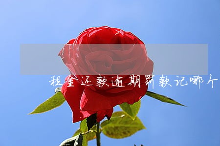 租金还款逾期罚款记哪个科目 租金还款逾期罚款记哪个科目