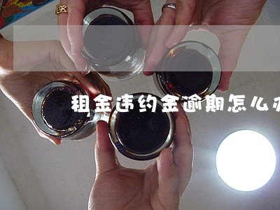 租金违约金逾期怎么办 租金违约金逾期怎么办