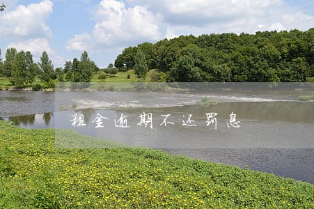 租金逾期不还罚息 租金逾期不还罚息
