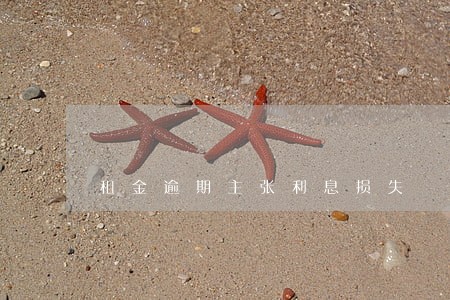 租金逾期主张利息损失 租金逾期主张利息损失