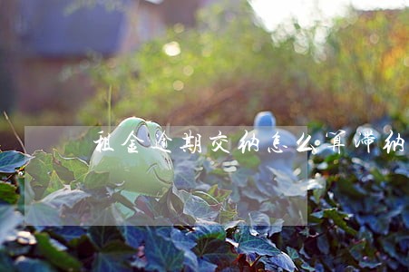租金逾期交纳怎么算滞纳金 租金逾期交纳怎么算滞纳金