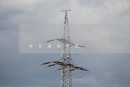 租金逾期付款 租金逾期付款