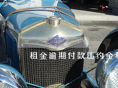 租金逾期付款违约金和利息 租金逾期付款违约金和利息
