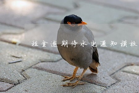 租金逾期停水电通知模板 租金逾期停水电通知模板
