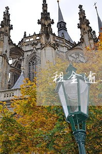 租金逾期催缴通知书 租金逾期催缴通知书