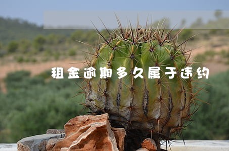 租金逾期多久属于违约 租金逾期多久属于违约