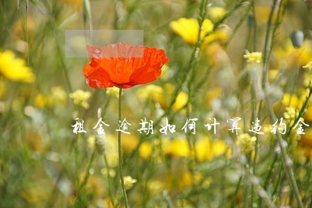 租金逾期如何计算违约金 租金逾期如何计算违约金