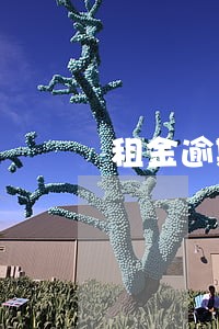 租金逾期怎么样合法收回物业 租金逾期怎么样合法收回物业