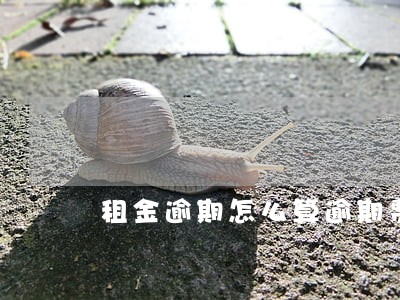 租金逾期怎么算逾期费用 租金逾期怎么算逾期费用