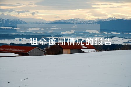 租金逾期情况的报告