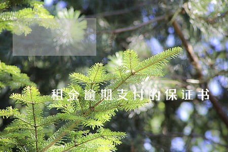 租金逾期支付的保证书 租金逾期支付的保证书