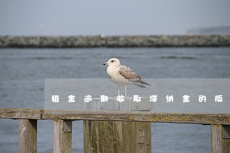 租金逾期收取滞纳金的版本 租金逾期收取滞纳金的版本