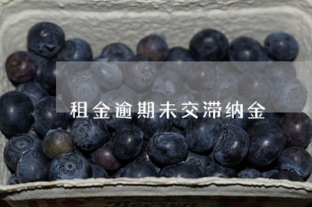 租金逾期未交滞纳金 租金逾期未交滞纳金