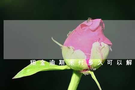 租金逾期未付多久可以解除 租金逾期未付多久可以解除