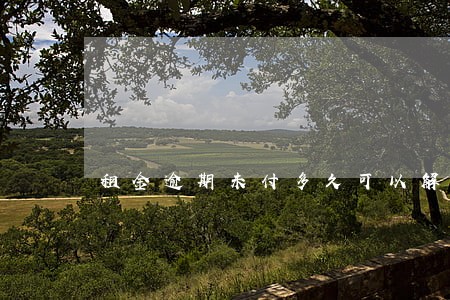 租金逾期未付多久可以解除合同 租金逾期未付多久可以解除合同