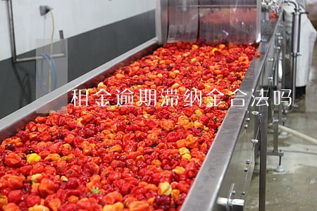 租金逾期滞纳金合法吗 租金逾期滞纳金合法吗