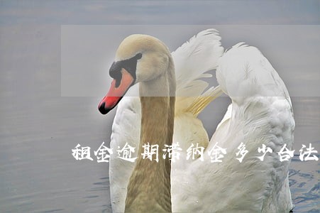 租金逾期滞纳金多少合法 租金逾期滞纳金多少合法