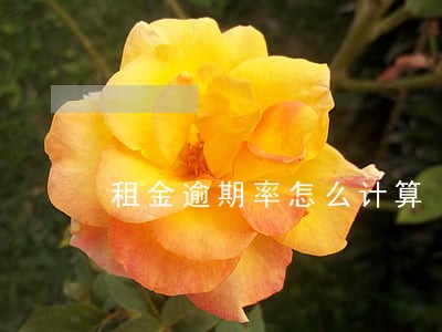 租金逾期率怎么计算 租金逾期率怎么计算