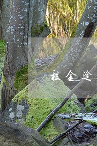 租金逾期罚息的标准 租金逾期罚息的标准