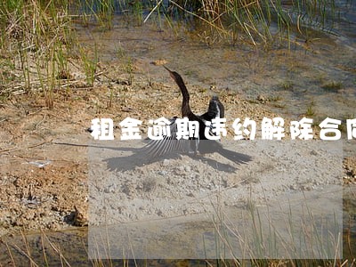 租金逾期违约解除合同 租金逾期违约解除合同