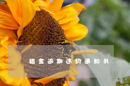 租金逾期违约通知书 租金逾期违约通知书