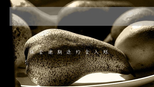 租金逾期违约金入账 租金逾期违约金入账