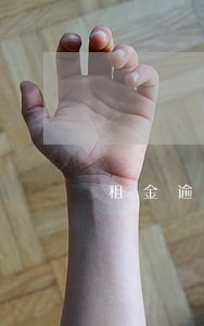 租金逾期违约金判例 租金逾期违约金判例