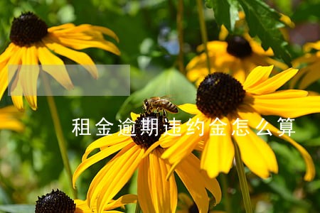 租金逾期违约金怎么算 租金逾期违约金怎么算