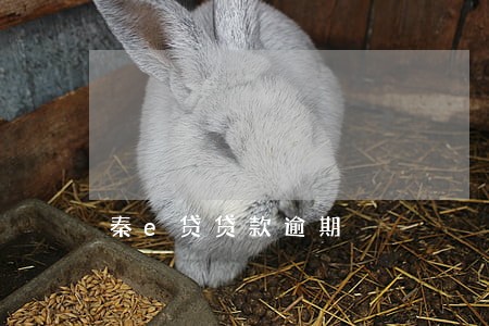 秦e贷贷款逾期 秦e贷贷款逾期