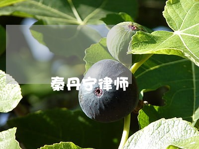 秦丹宁律师 秦丹宁律师